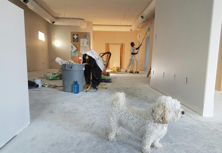 Why Routine Maintenance is Cheaper Than Emergency RepairsReal estate cannot be lost or stolen, nor can it be carried away.