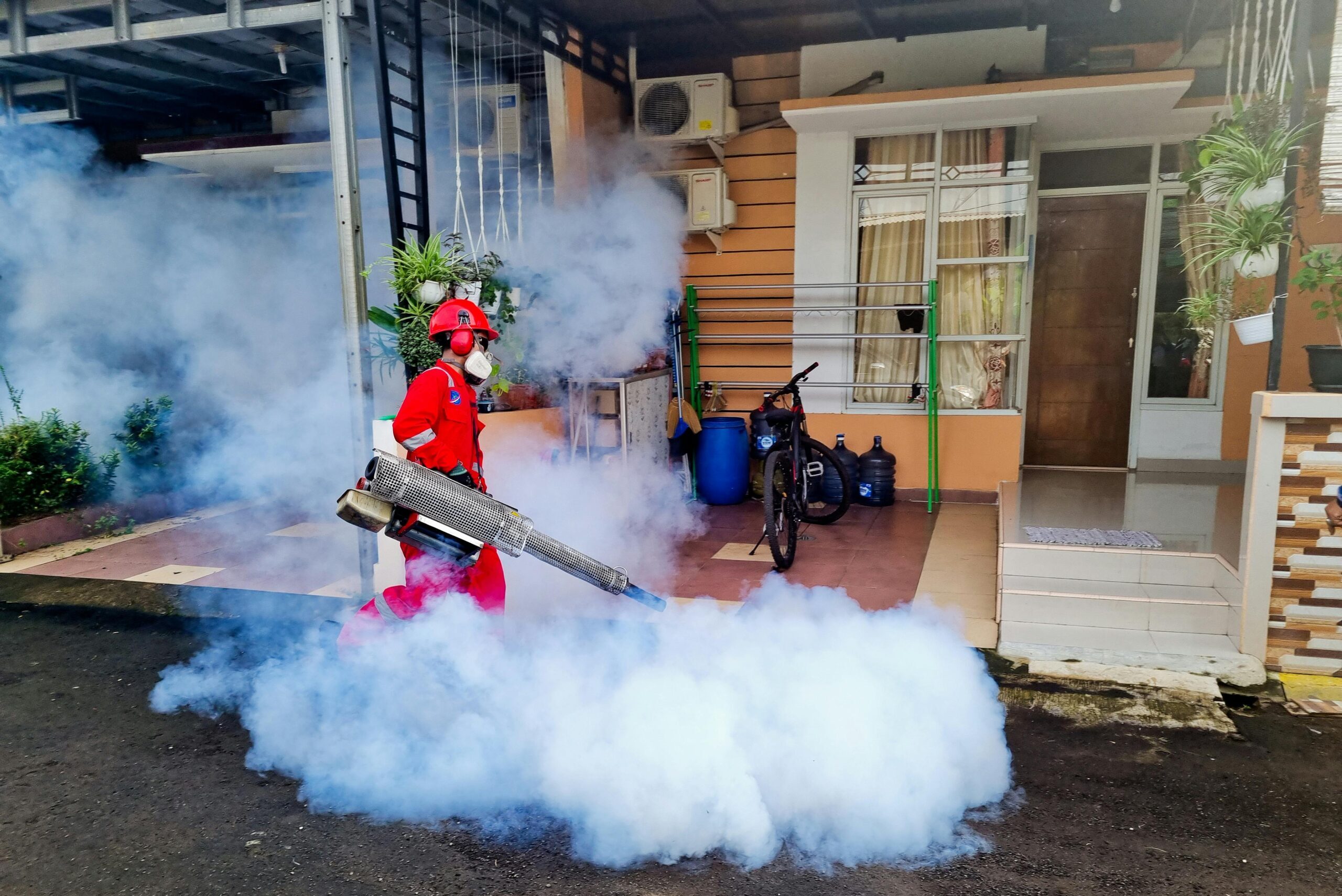 pexels-garda-pest-control-indonesia-895947270-19789841